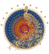 Go to Challenger Home